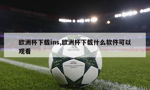 欧洲杯下载ins,欧洲杯下载什么软件可以观看