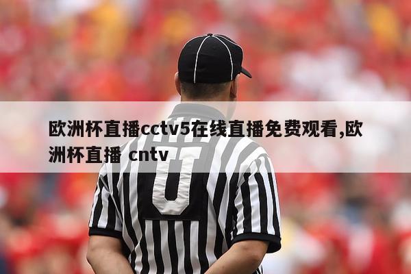 欧洲杯直播cctv5在线直播免费观看,欧洲杯直播 cntv