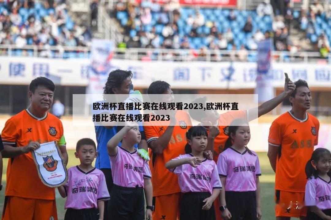 欧洲杯直播比赛在线观看2023,欧洲杯直播比赛在线观看2023