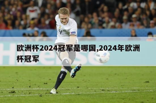 欧洲杯2024冠军是哪国,2024年欧洲杯冠军