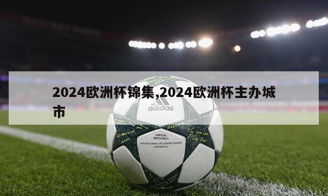 2024欧洲杯锦集,2024欧洲杯主办城市