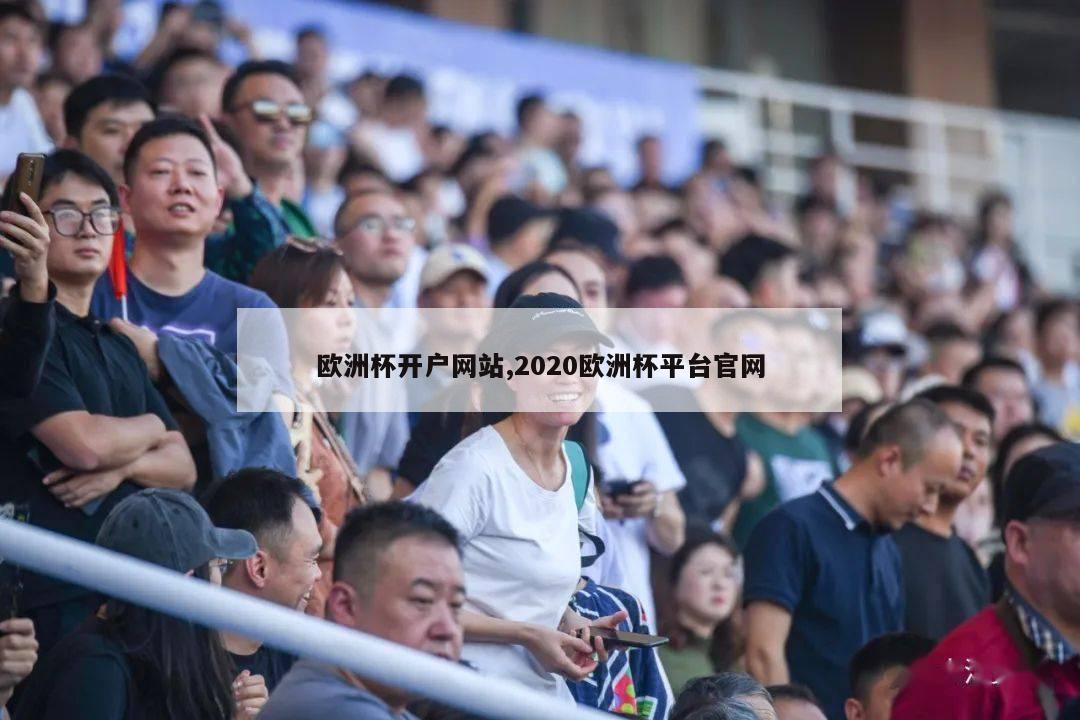 欧洲杯开户网站,2020欧洲杯平台官网