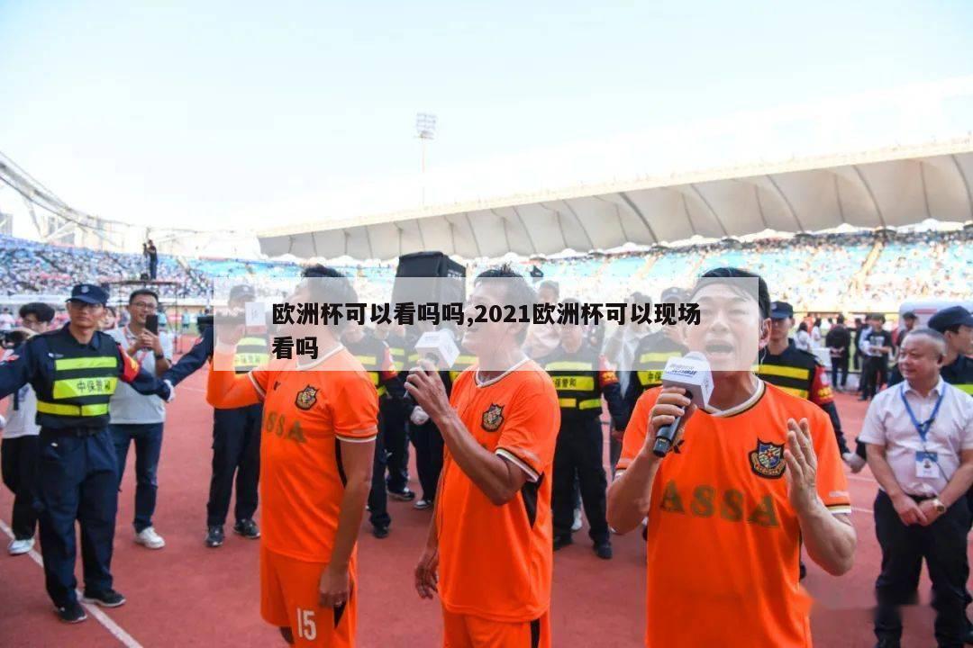 欧洲杯可以看吗吗,2021欧洲杯可以现场看吗