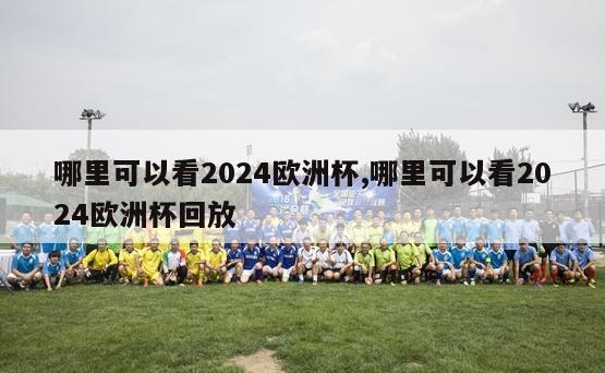 哪里可以看2024欧洲杯,哪里可以看2024欧洲杯回放